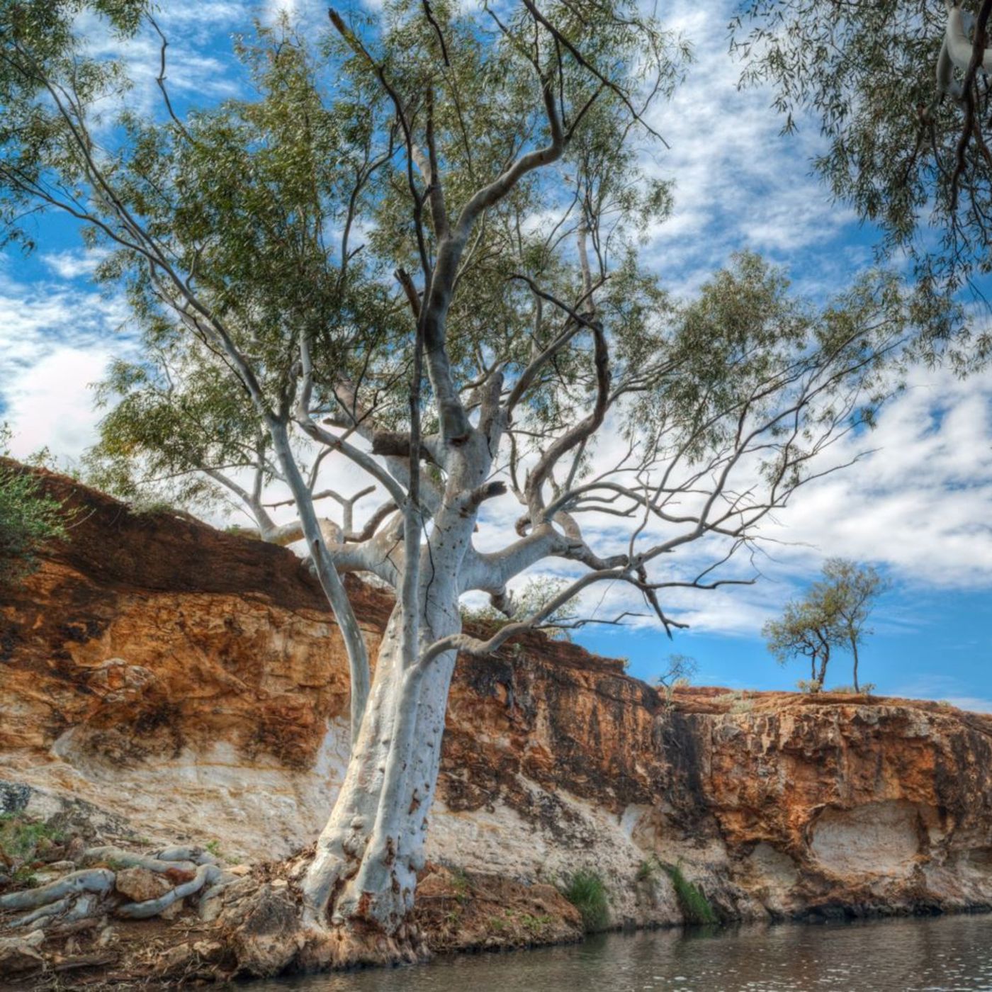 Australian wood flooring influence